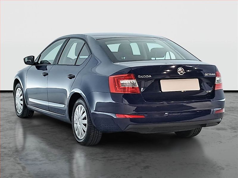 Škoda Octavia (2015) 1.4 TSI CNG, ČR,1.maj - fotka 4 z 14