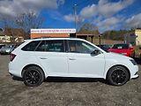 Škoda Fabia (2016) 1.2 TSi 81KW Monte - náhled 8