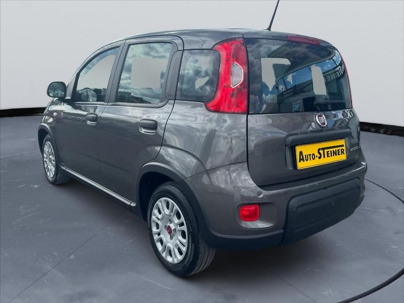 Fiat Panda 1,0 i Hybrid,1.Maj, DPH - fotka 8 z 16