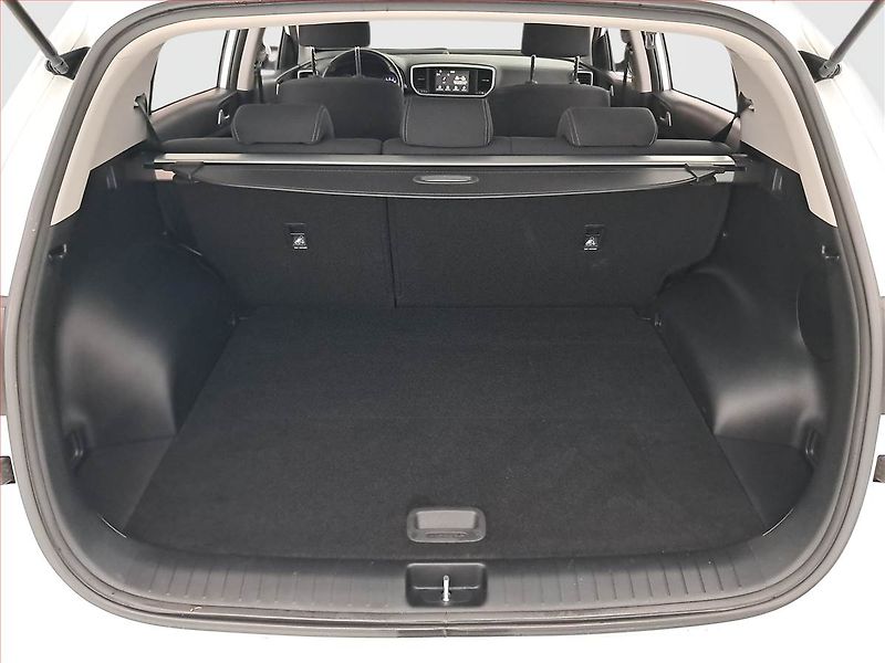 Kia Sportage (2020) 1.6 GDI, Tempomat - fotka 13 z 17