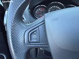 Renault Mégane 2.0 dCi 118kW - náhled 34
