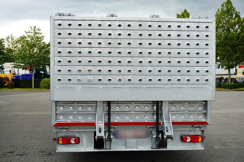 Renault (2017) D16 / NEW GALVANIZED TOW TRUCK - fotka 5 z 24