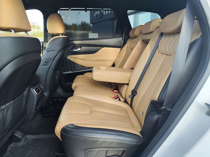 Hyundai Santa Fe 2.2 CRDI/148kW Luxury DCT 4x4 - fotka 15 z 40