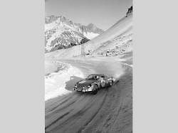 Alpine Vision.
