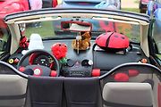 Z 33. Mezinárodního srazu Beetle a New Beetle na téma Naruby u zámku Kačina ve Svatém Mikuláši.