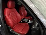 Alfa Romeo Stelvio VELOCE 206kW Q4 H&K PANORAMA - náhled 40
