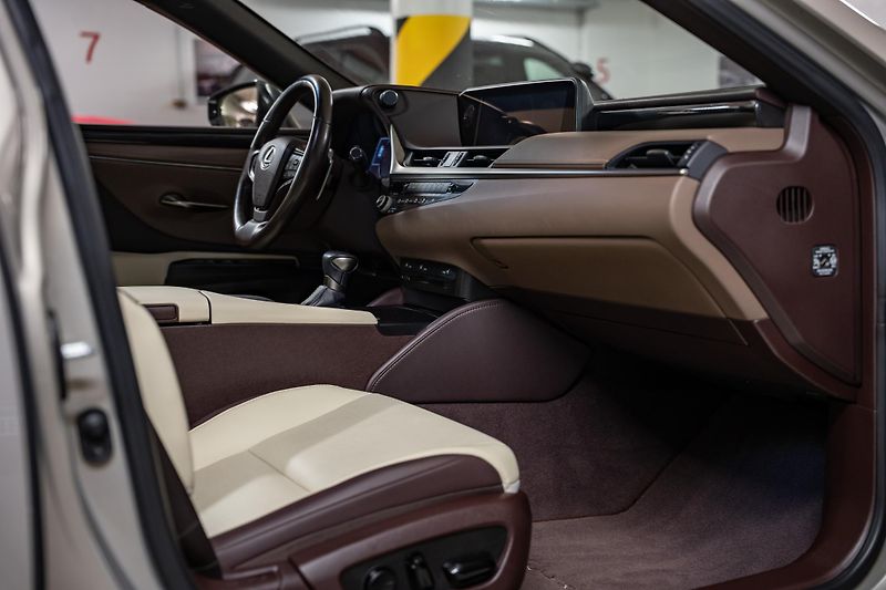 Lexus ES 300h (2020) Luxury, LED, 360, DPH - fotka 15 z 27