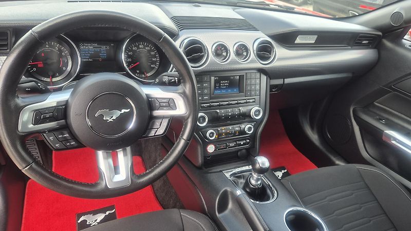Ford Mustang 2.3T  50 Years Edition 233kw - fotka 14 z 19