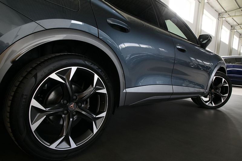 Cupra Formentor 2.0TDI 110kW 4x4 DSG DCC Webas - fotka 8 z 39