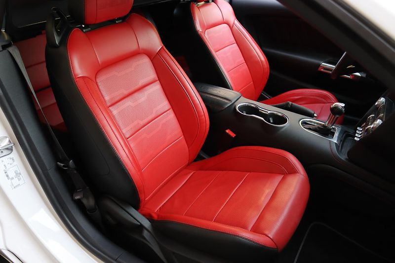 Ford Mustang SHELBY GT-H 5.0 V8 CONVERTIBLE - fotka 48 z 50