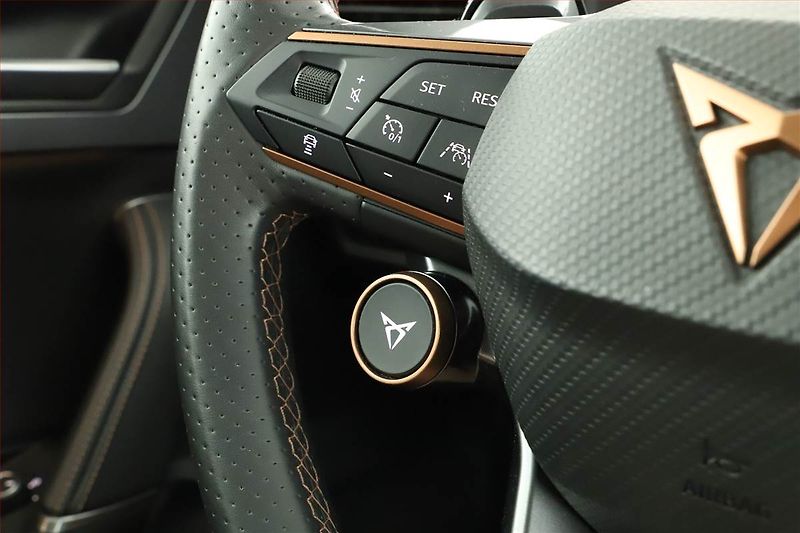 Cupra Formentor (2021) 2.0 TSI VZ 4Drive - fotka 25 z 26