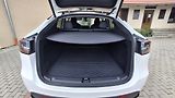 Tesla Model Y Long range dual motor EAP TZ - náhled 7