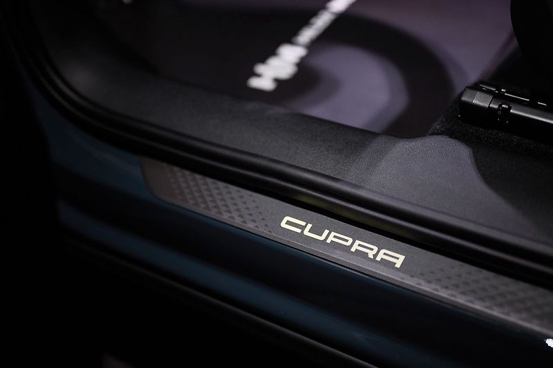 Cupra Terramar VZ 2.0TSI 195kW Web Taž ZÁRUKA - fotka 27 z 34