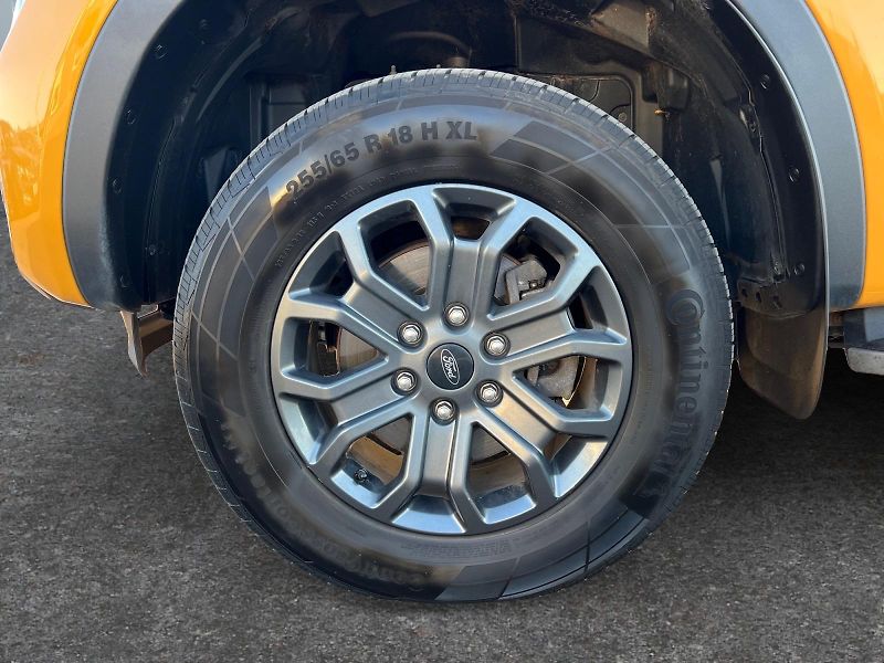 Ford Ranger (2024) WILDTRACK 3.0TDCI 176kW DPH - fotka 14 z 47