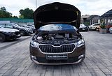 Škoda Fabia 1.0 TSI 81kW ČR/Al.kola/klima - náhled 9