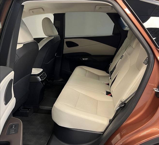 Lexus RX 450h plus 450H+ 2,5 PHEV EXECUTIVE - fotka 8 z 18