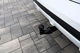 BMW X5 30d xDrive, Mpaket/21/Led - náhled 15