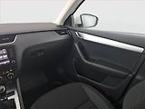 Škoda Octavia (2019) Style 1.6 TDI, Tempomat - náhled 8