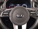 Kia Sportage (2019) 1.6 CRDi, 4X4, Automat - náhled 19