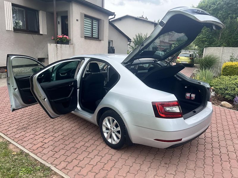 Škoda Octavia 1.5TSI 110KW,STYLE,DSG,ALU,DPH - fotka 28 z 43