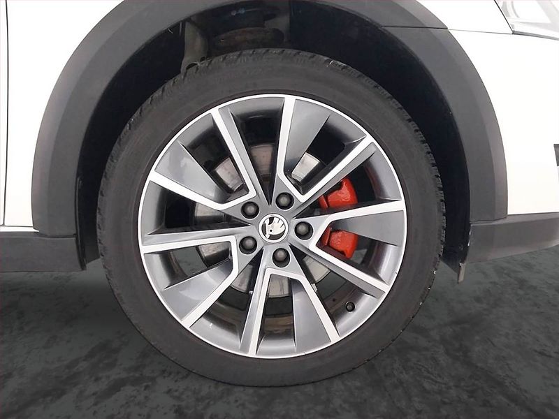 Škoda Octavia (2019) Scout 2.0 TSI, 4X4, Automat - fotka 15 z 26
