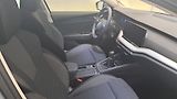 Škoda Octavia (2024) Selection 2.0 TDI 85kW - náhled 14