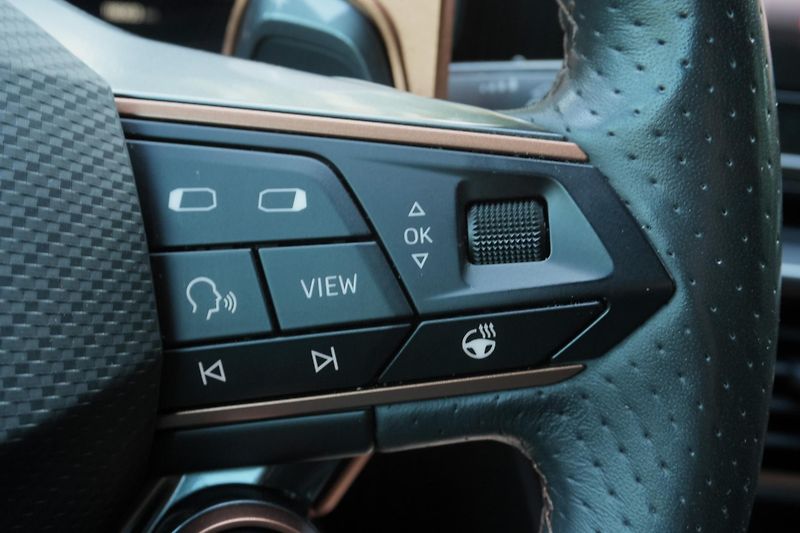 Cupra Formentor VZ 2.0 TSI, Remus, Beats, PPF - fotka 20 z 38