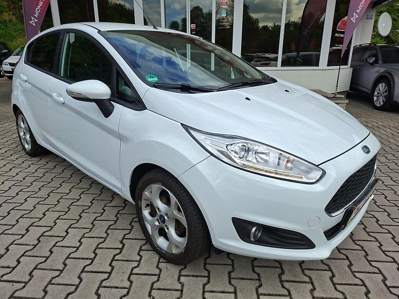 Ford Fiesta (2016) 1.25i 60kW -PARK.KAMERA - fotka 1 z 40