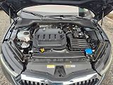 Škoda Octavia (2021) 2.0 TDI Odpočet DPH TOP VYBAVA - náhled 27