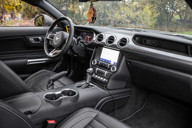 Ford Mustang - fotka 20 z 45