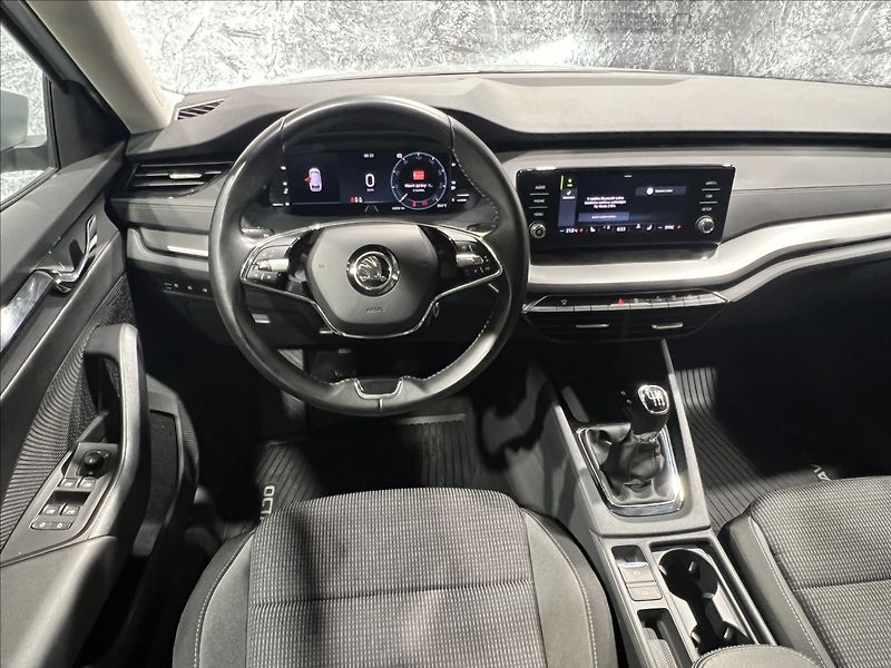 Škoda Octavia 2,0 TDI Ambition 1.majitel CZ - fotka 20 z 40