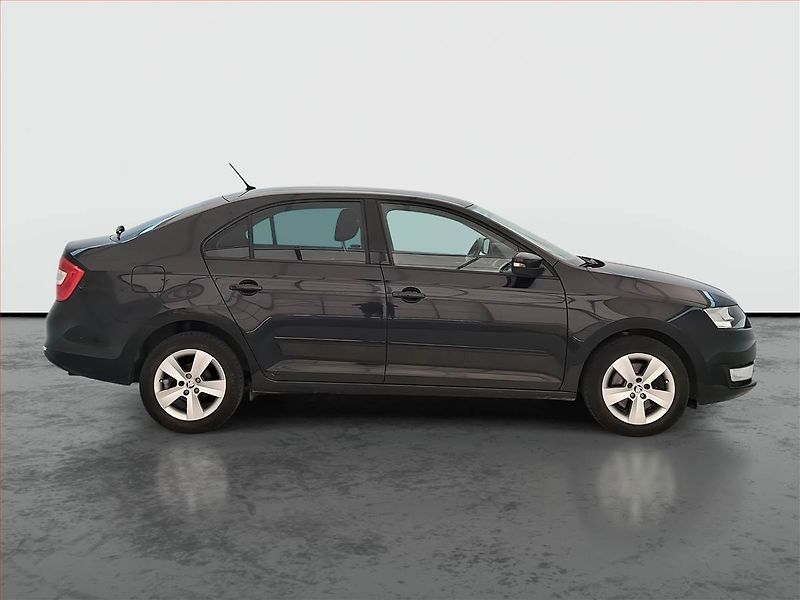 Škoda Rapid (2014) 1.2 TSI, ČR,1.maj, Tempomat - fotka 6 z 16