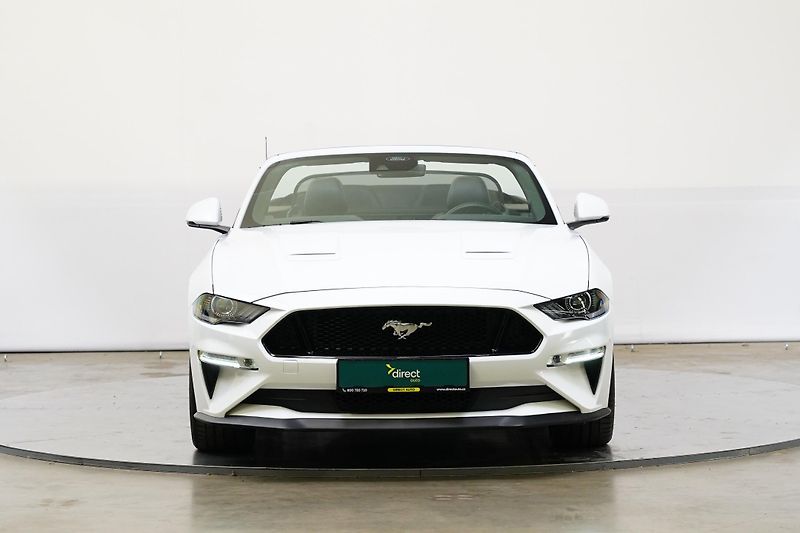 Ford Mustang - fotka 4 z 5