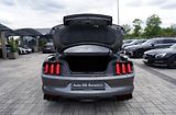 Ford Mustang (2018) Shelby GT350 5.2 Recaro,533 PS - náhled 11