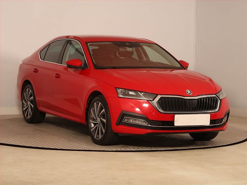 Renault Grand Scénic (2010) 1.9 dCi, Navi, Tempomat - fotografie inzerátu