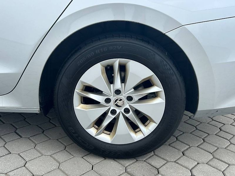 Škoda Octavia Ambition 7DSG 2,0TDI - fotka 20 z 23