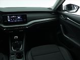 Škoda Octavia (2021) Style 2.0 TDI, Tempomat - náhled 8