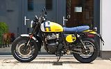 Royal Enfield (2026) Bear 650 WILD HONEY - náhled 4