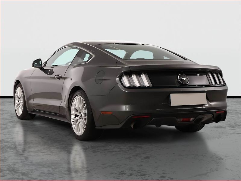 Ford Mustang (2016) 2.3 EcoBoost - fotka 4 z 17