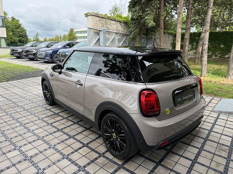 Mini Ostatní (2021) REZERVACE - fotka 4 z 36