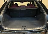 Lexus RX 500h 500H 2,4 HEV F SPORT - náhled 9