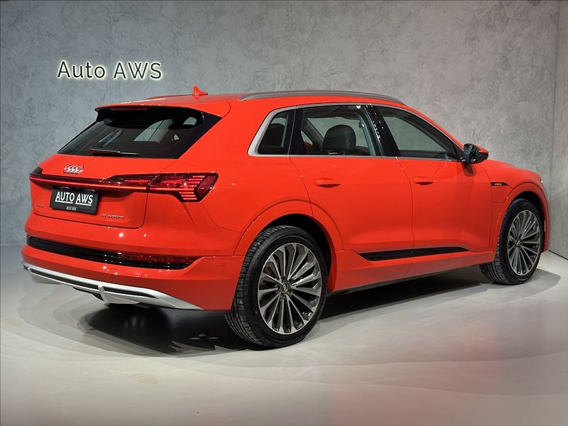 Audi e-tron 300kW S-Line Night Vision - fotka 8 z 48