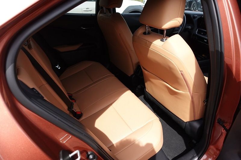 Lexus UX 300h UX300h Luxury 4x4 - fotka 14 z 38