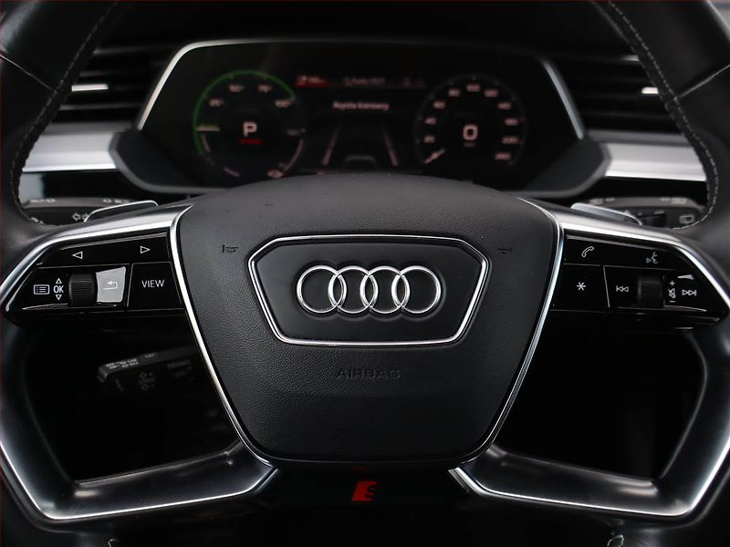 Audi e-tron (2020) S-Line 50 quattro - fotka 19 z 27