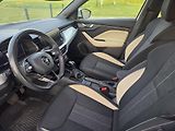 Škoda Kamiq (2022) 1.5 TSI 110kW,DSG,DPH, CZ - náhled 10