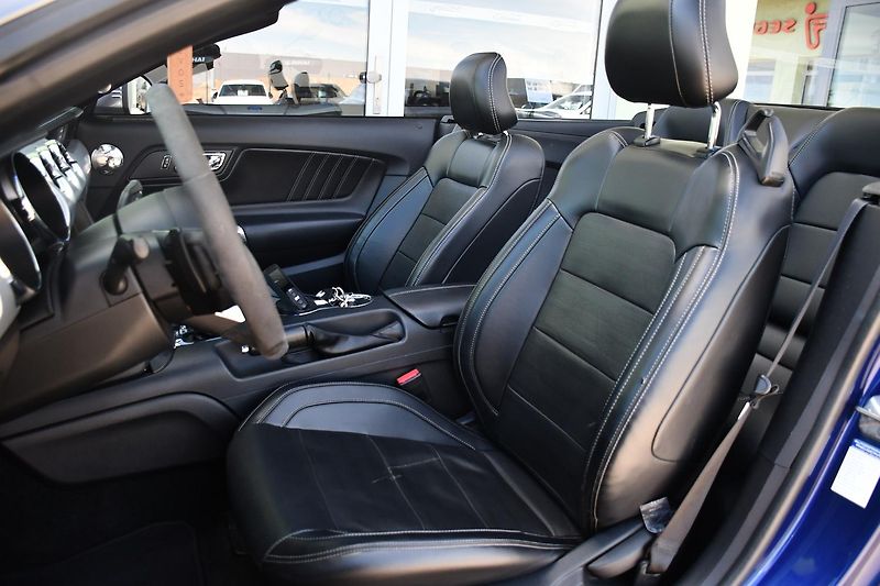 Ford Mustang 5.0V8 REMUS ČR ZADÁNO - fotka 20 z 40