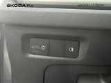 Škoda Octavia (2025) Selection 1.5TSI / 110kW 6°MP - náhled 12