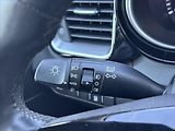 Kia XCeed 1,5 TGDi 118kW TOP ZÁRUKA KŮŽE - náhled 33