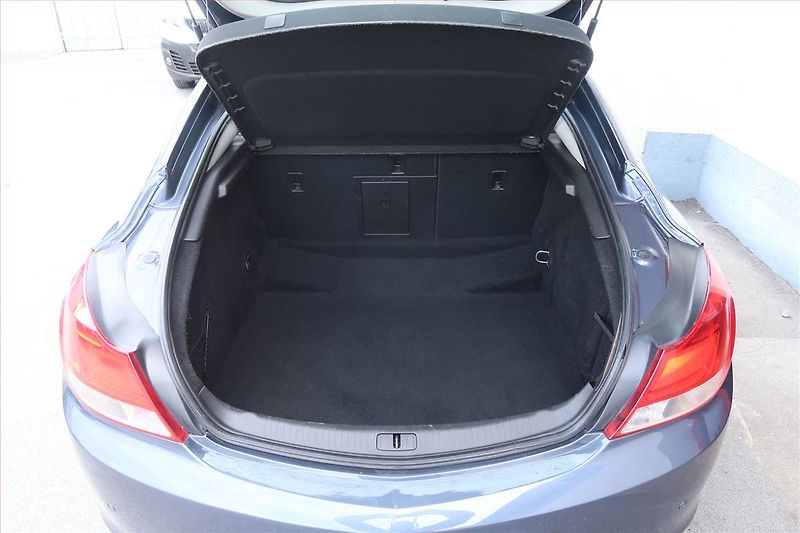 Opel Insignia (2009) 2.0 CDTI, Navi, Tempomat - fotka 13 z 19