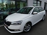 Škoda Fabia 1,0 TSi,70kW,1maČR,Serv.kn,DPH - náhled 1